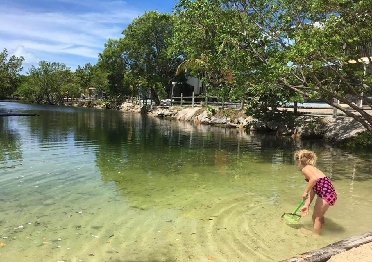 Sea Mist - Oceanfront-Lake-Kayak-Paddleboard-Bike Key Largo Exterior photo