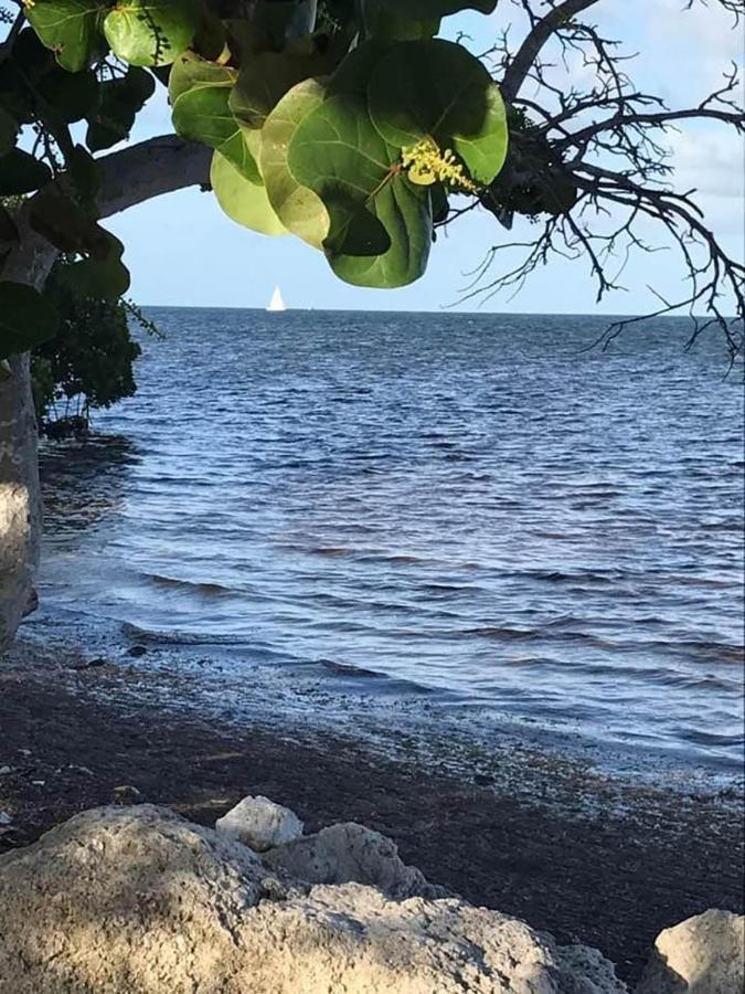 Sea Mist - Oceanfront-Lake-Kayak-Paddleboard-Bike Key Largo Exterior photo