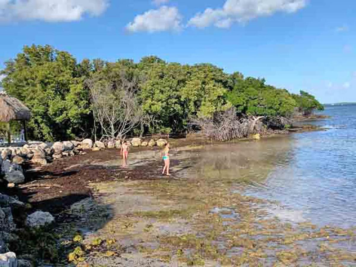 Sea Mist - Oceanfront-Lake-Kayak-Paddleboard-Bike Key Largo Exterior photo